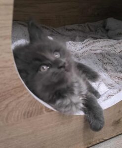 ab8cd800-491d-4dc3-8950-97165d4e2336