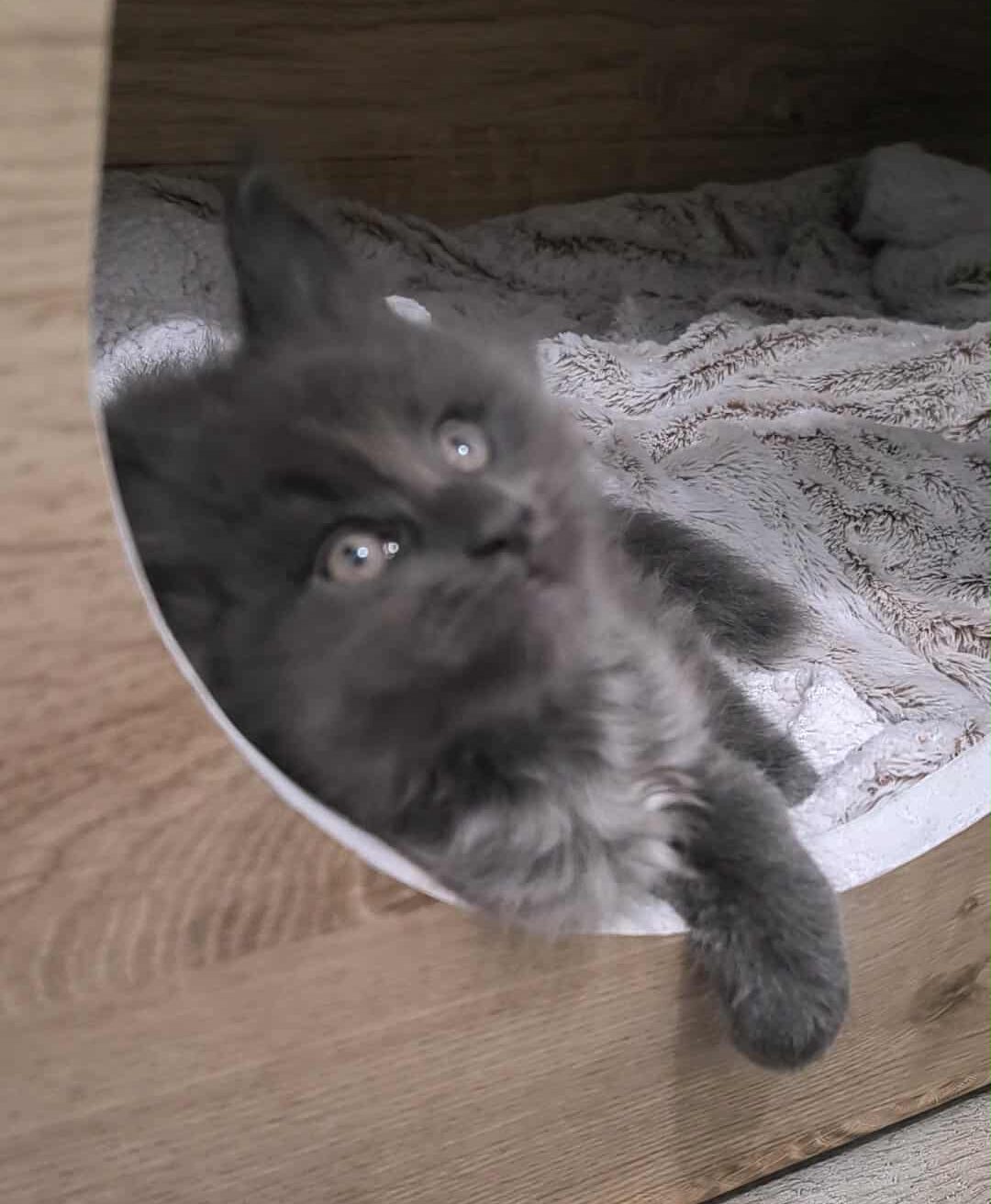 ab8cd800-491d-4dc3-8950-97165d4e2336