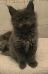 bcb73892-f763-4453-b1e7-188aad96f35d