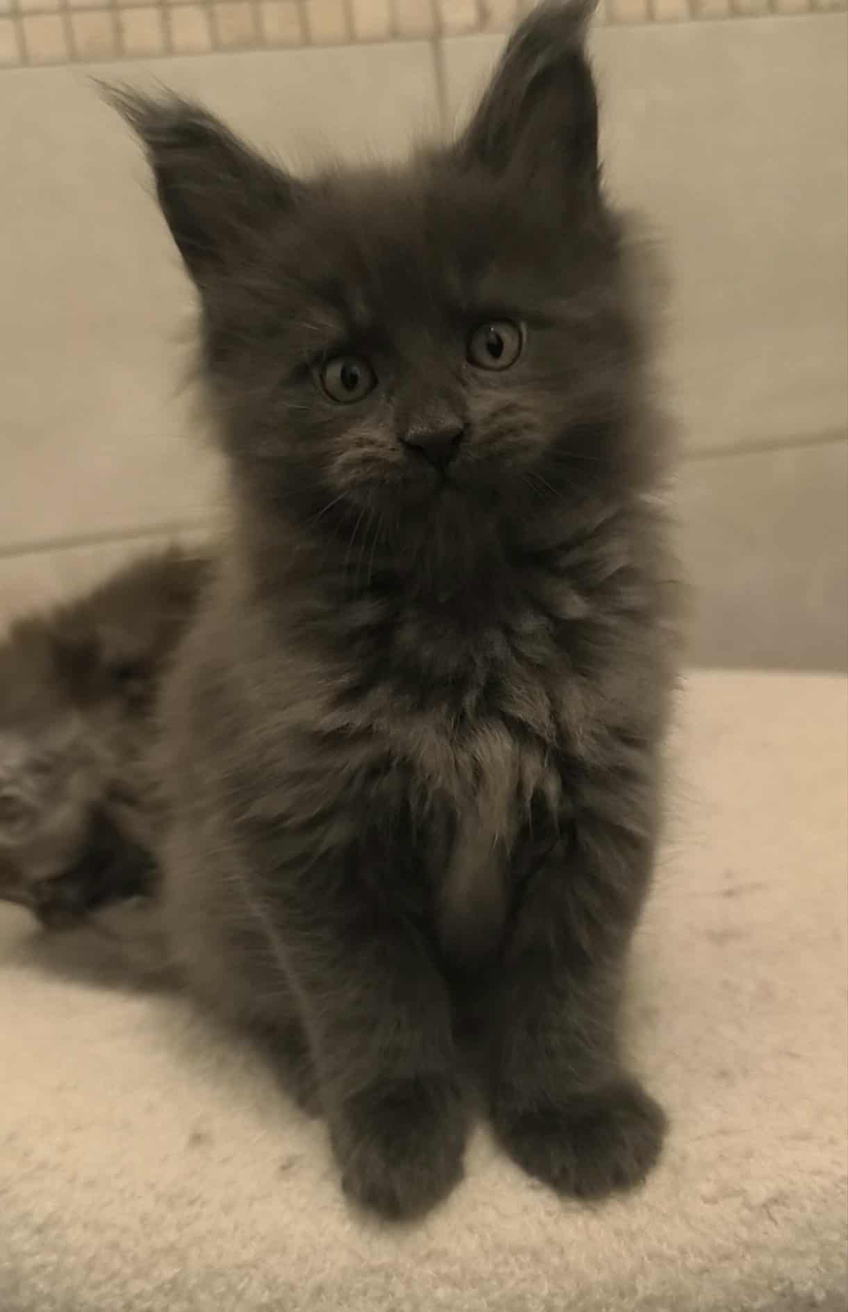 bcb73892-f763-4453-b1e7-188aad96f35d