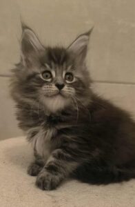 f3626461-a49e-4c34-ade3-a94a4bf31276