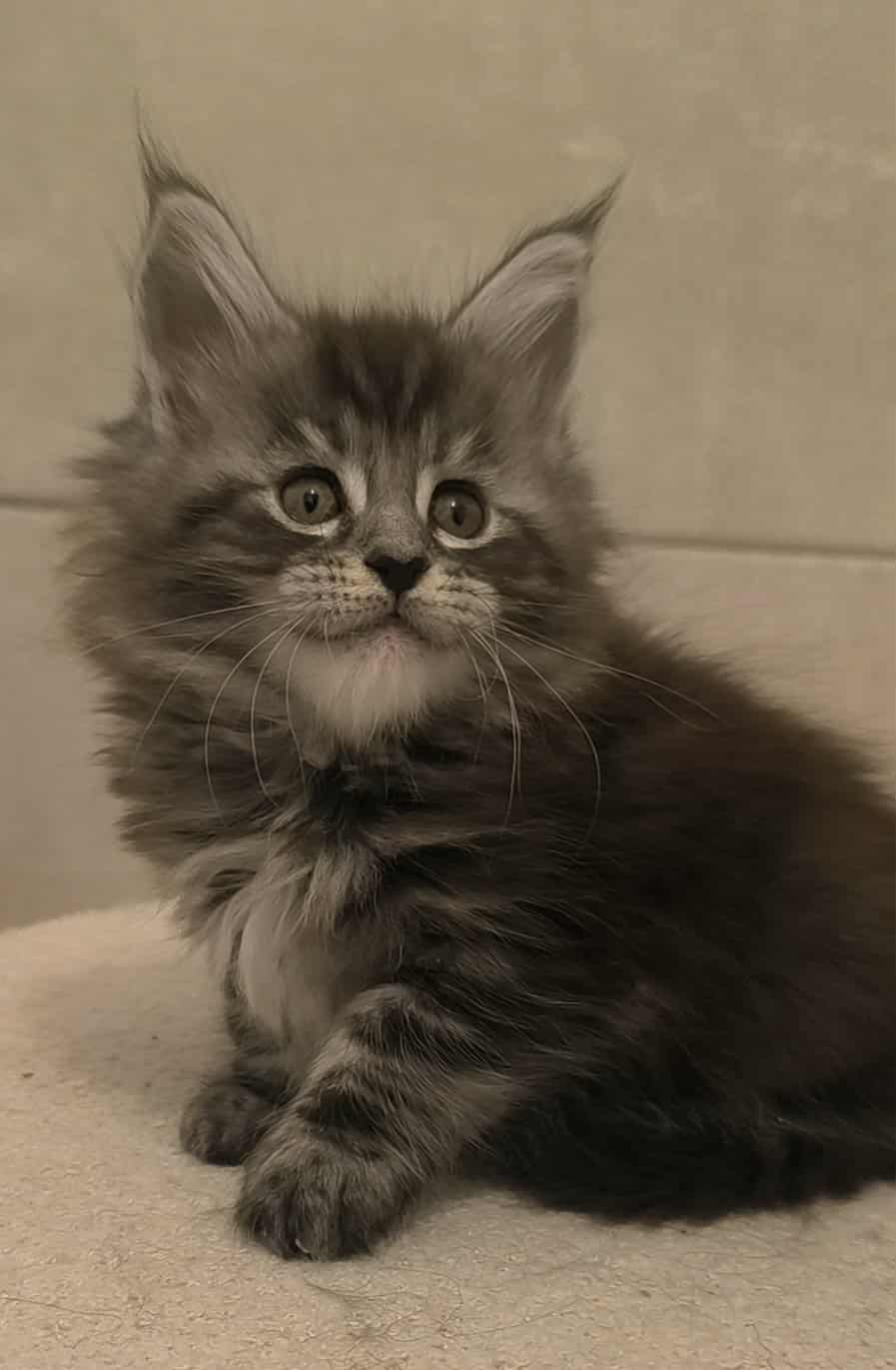 f3626461-a49e-4c34-ade3-a94a4bf31276