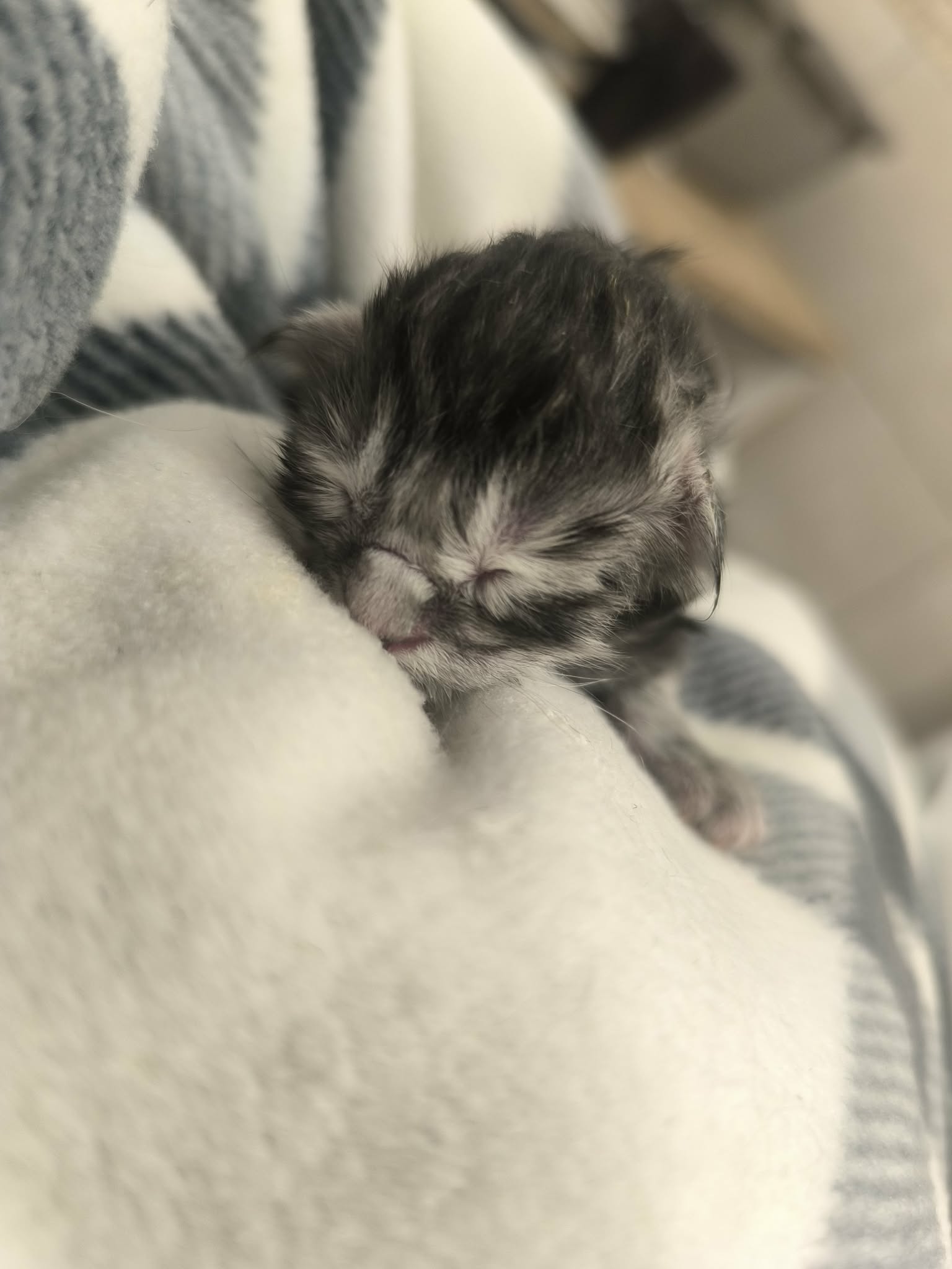 0dd3f375-fb7d-4e14-b5bd-3381cecf0bdf