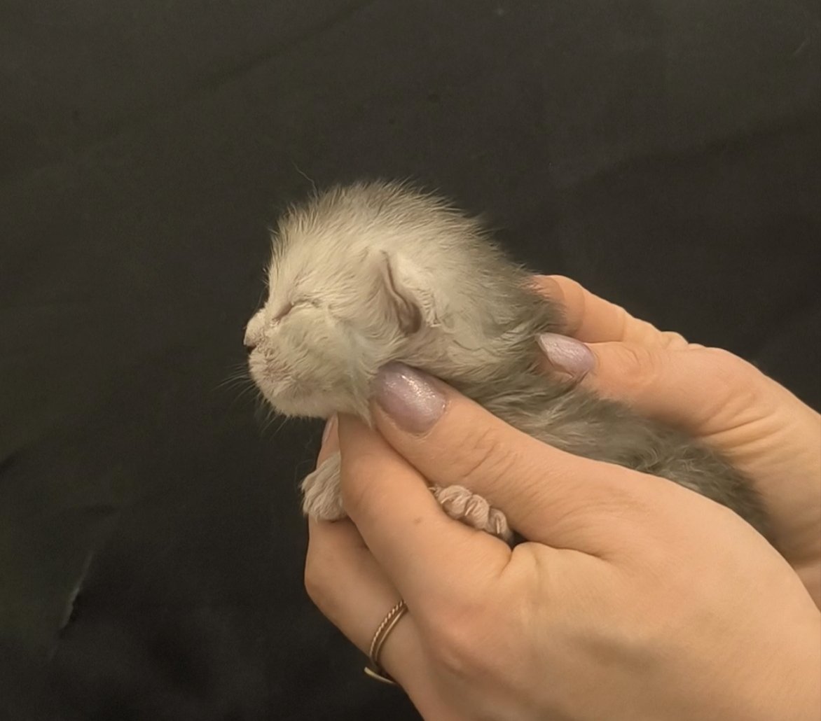 3bccffc3-40ee-4144-abbf-a5edfa3a1b91