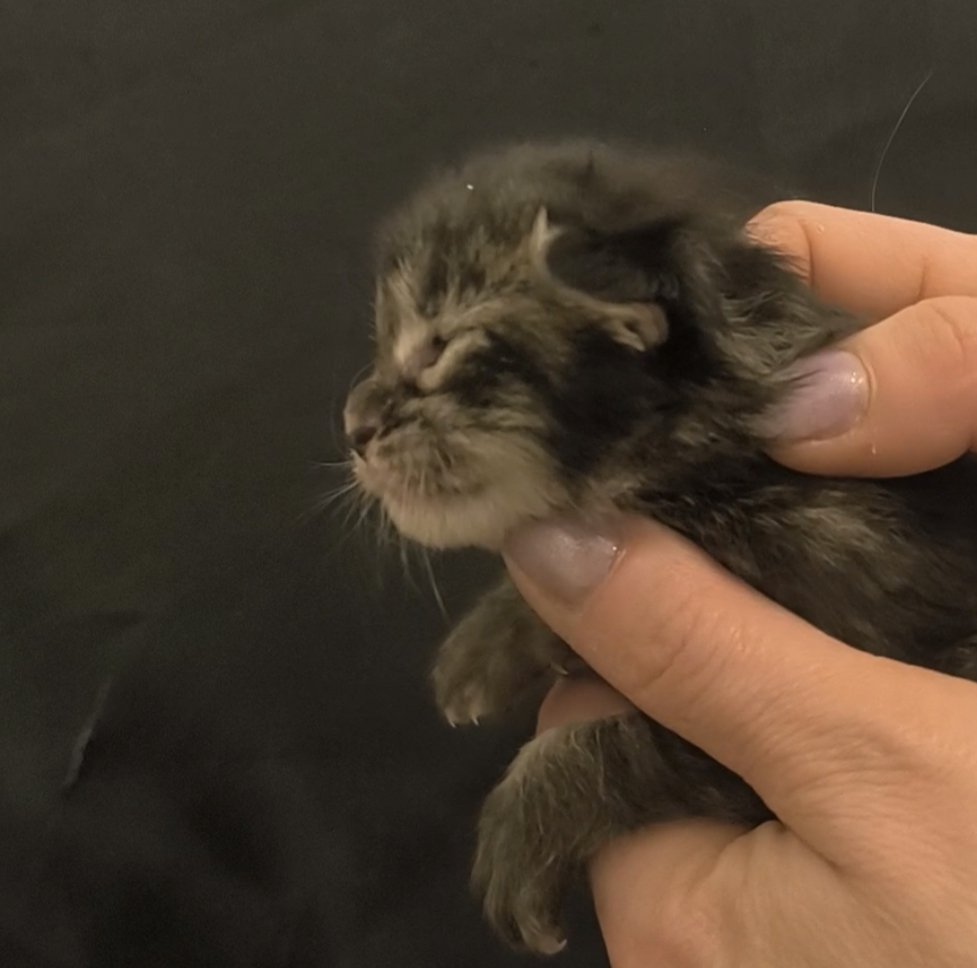 3cad9ec6-08b5-41fa-9cb5-4b56f7769a49