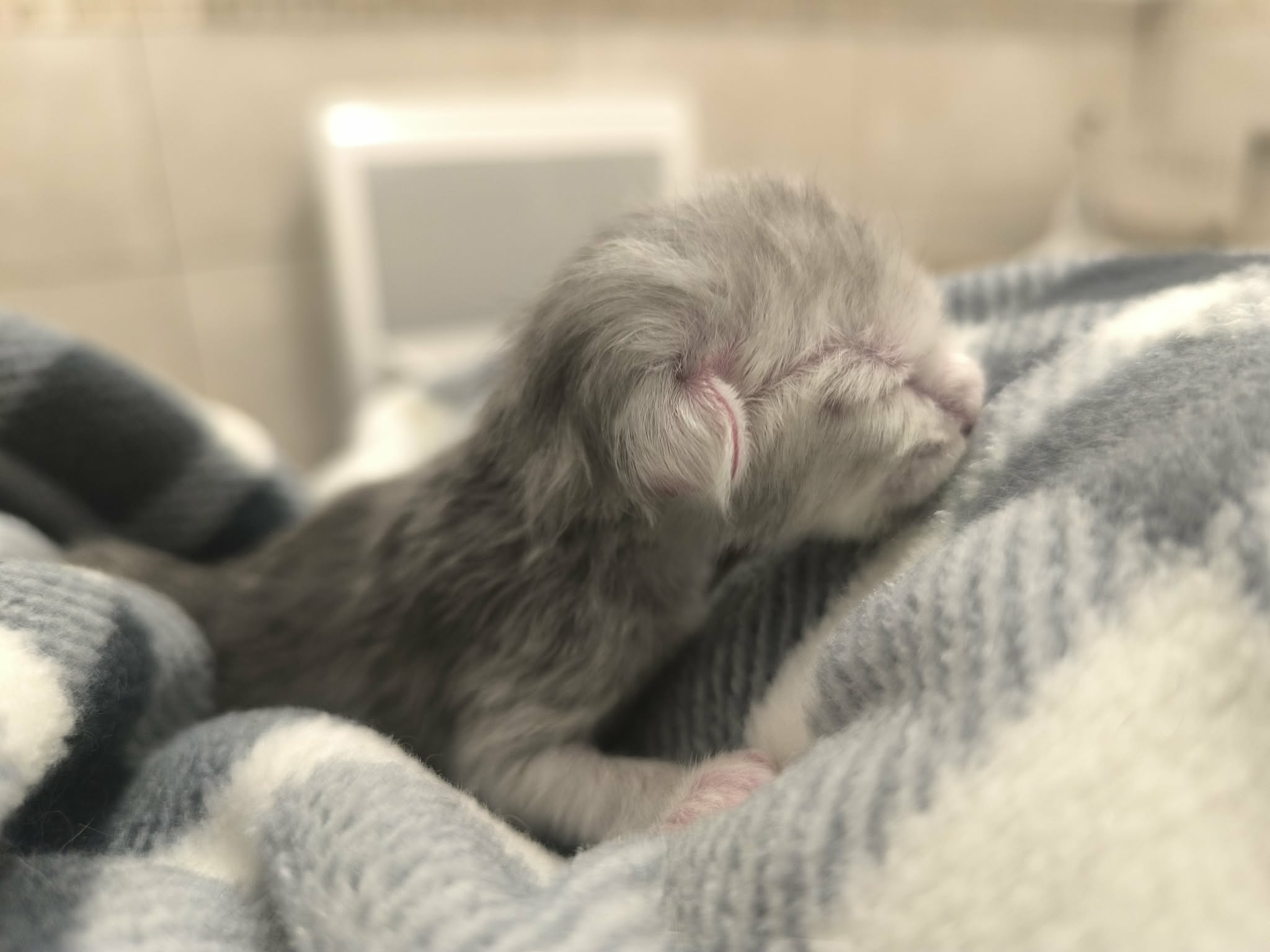 42da4fb0-6e6f-467e-acfb-172da7bcbe28