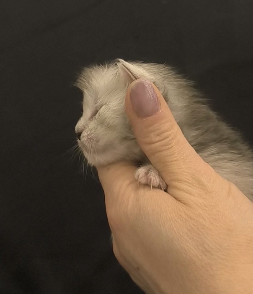 44fd1880-235c-4e64-9796-c4338da1eae2