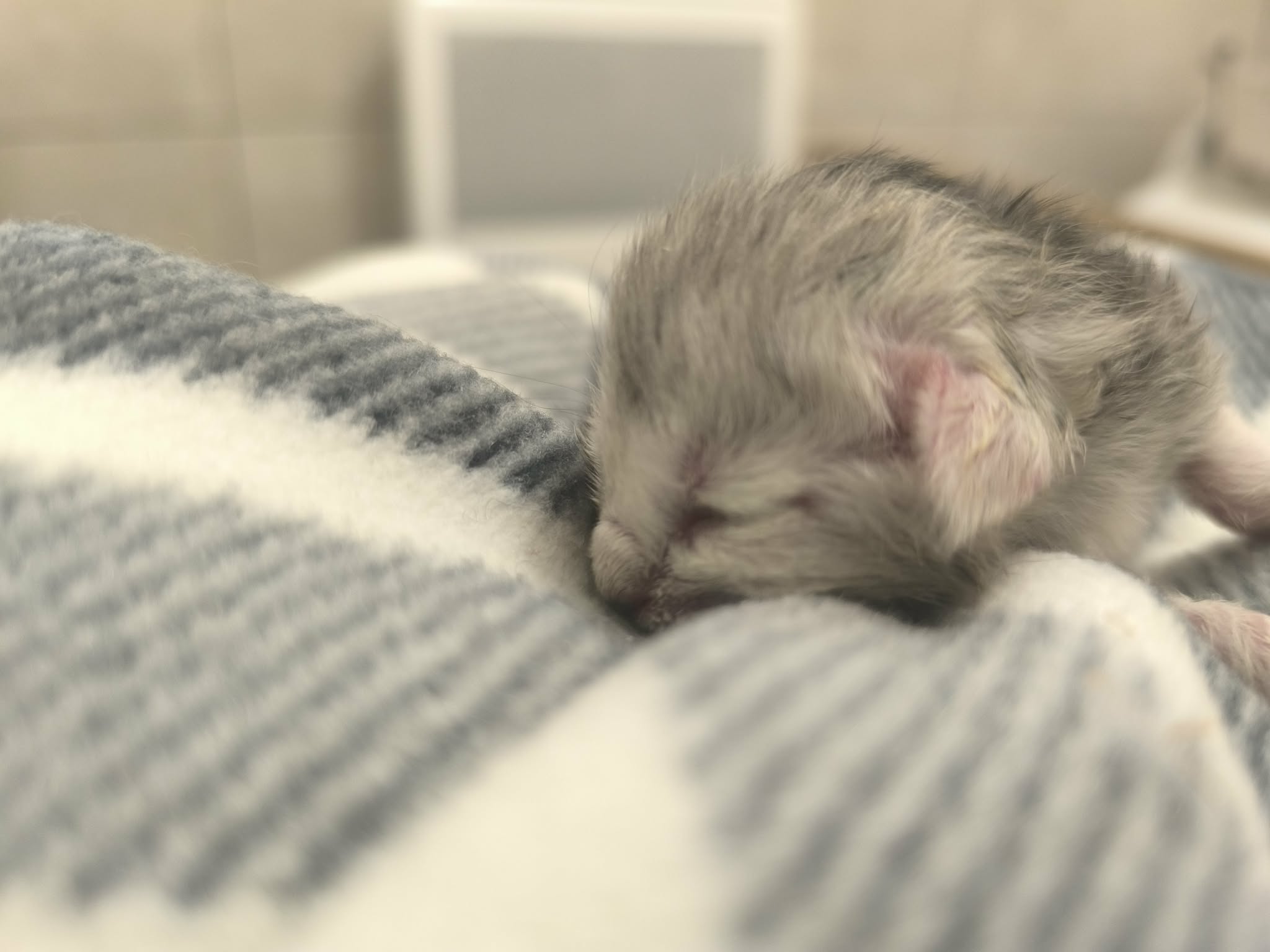 46c5e7ca-ee7d-4455-863f-4426c4181f77