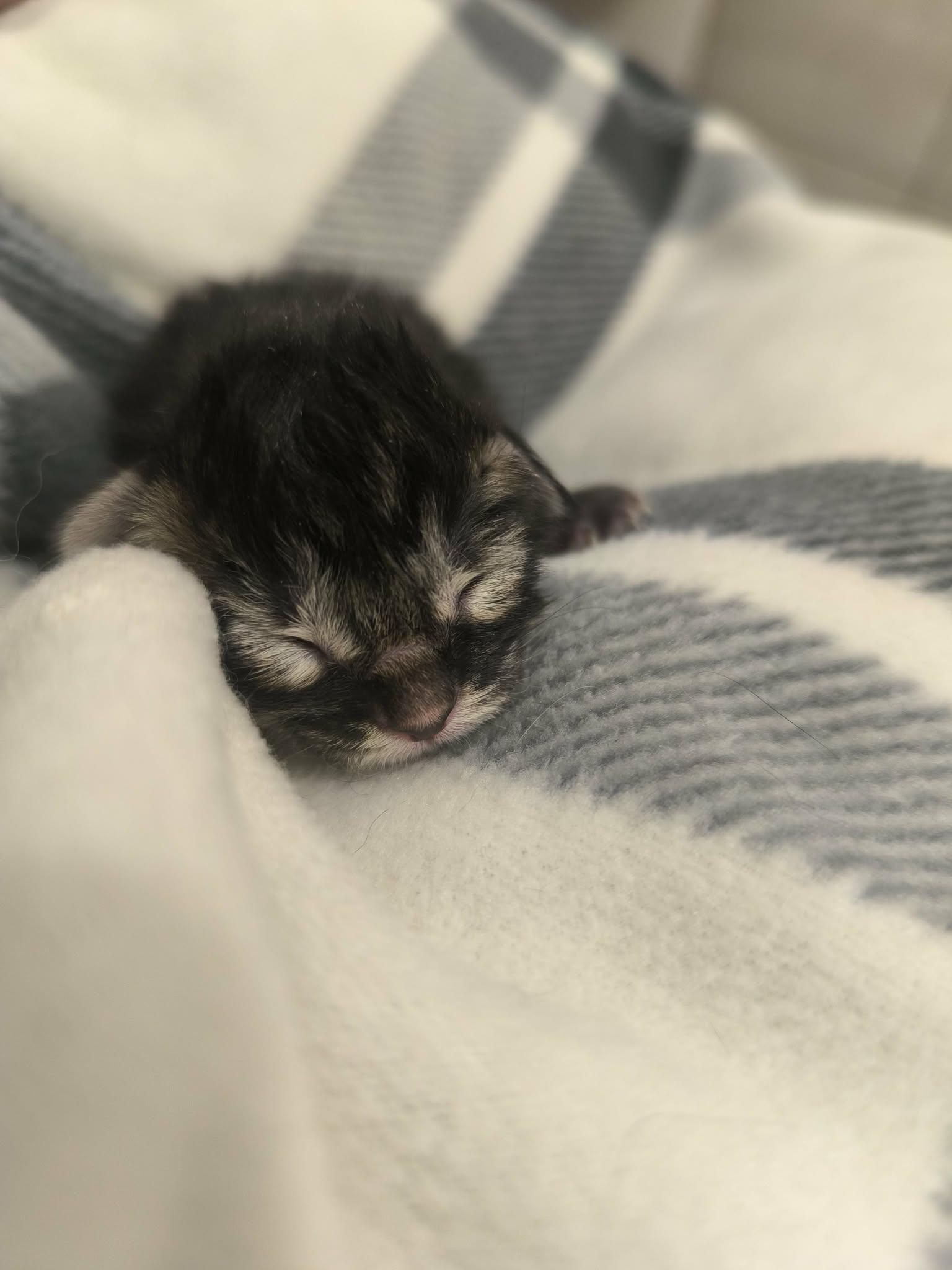 527123ea-5623-4e3d-8441-97444436eeda