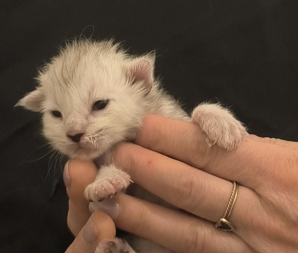 6047d582-7a0f-4f8f-9396-4344ab8e7e57