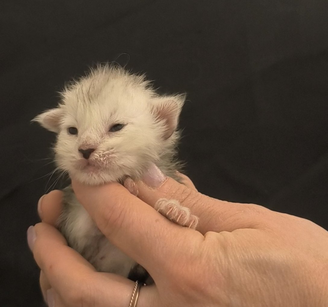 6b67db09-2fe5-46d3-a484-65eaf5446517