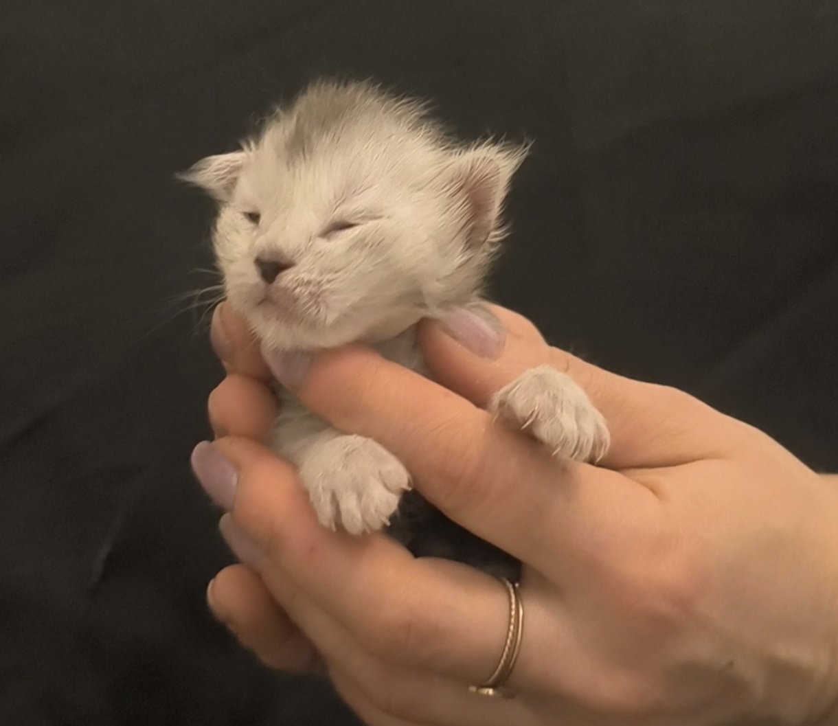 8d01686a-b07b-4a4b-8cf2-41ed2bdc8987