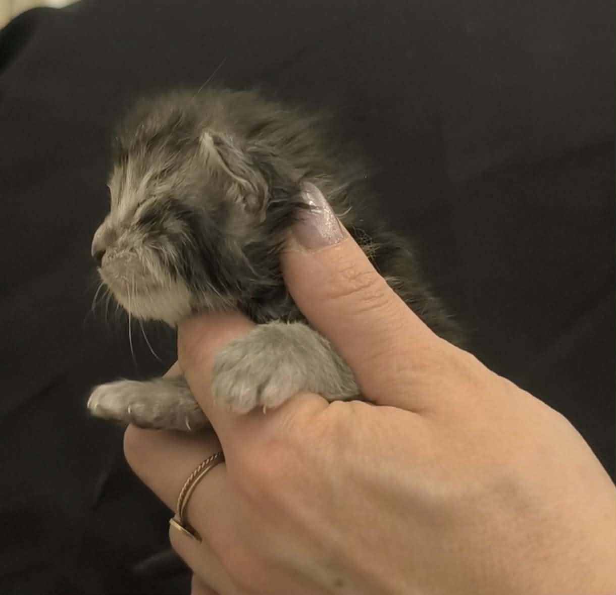 cc937150-7091-46ed-92b6-0ca92a25109d