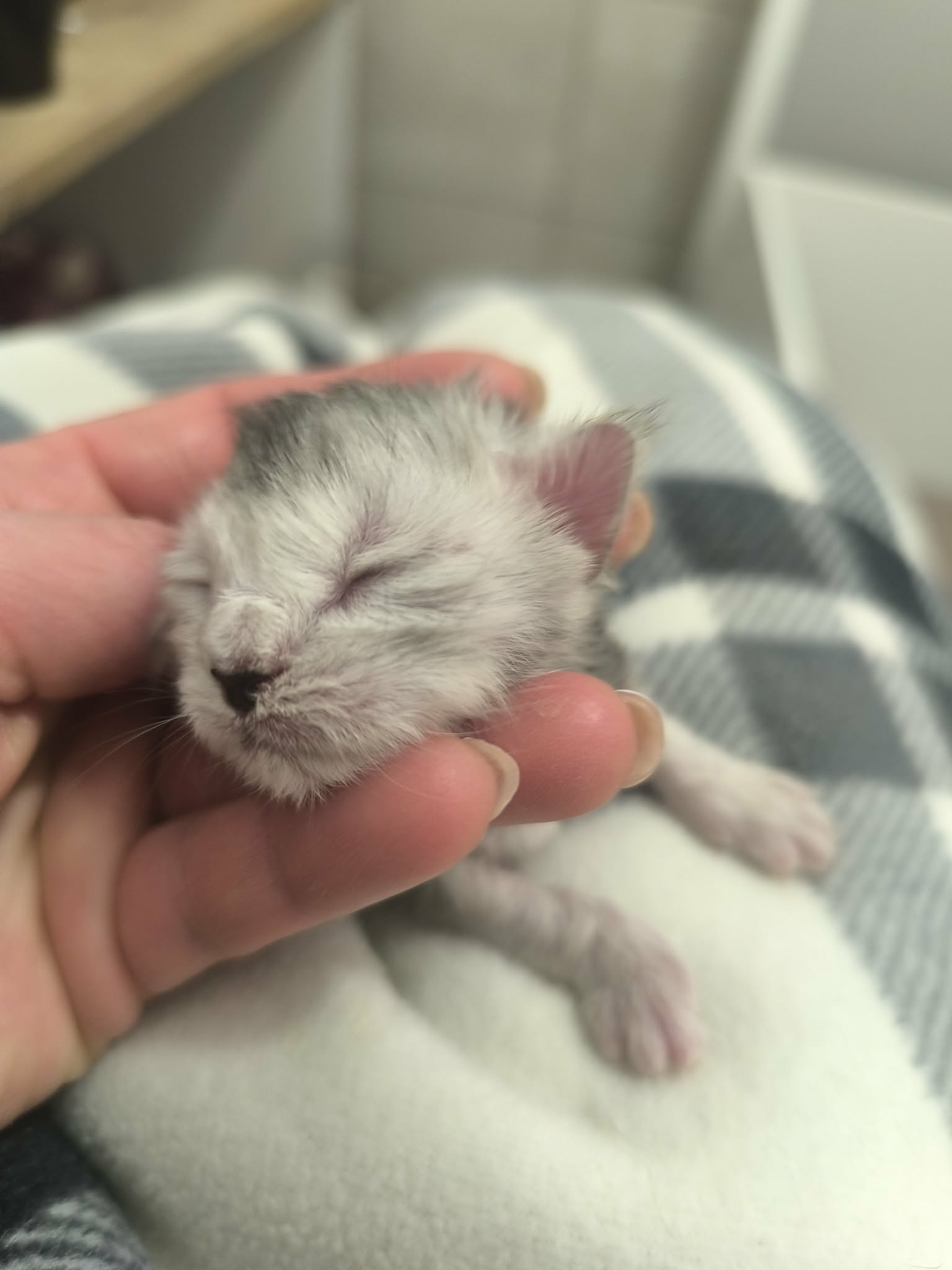 e6f43062-2ffc-4203-ad78-8768d587ff95