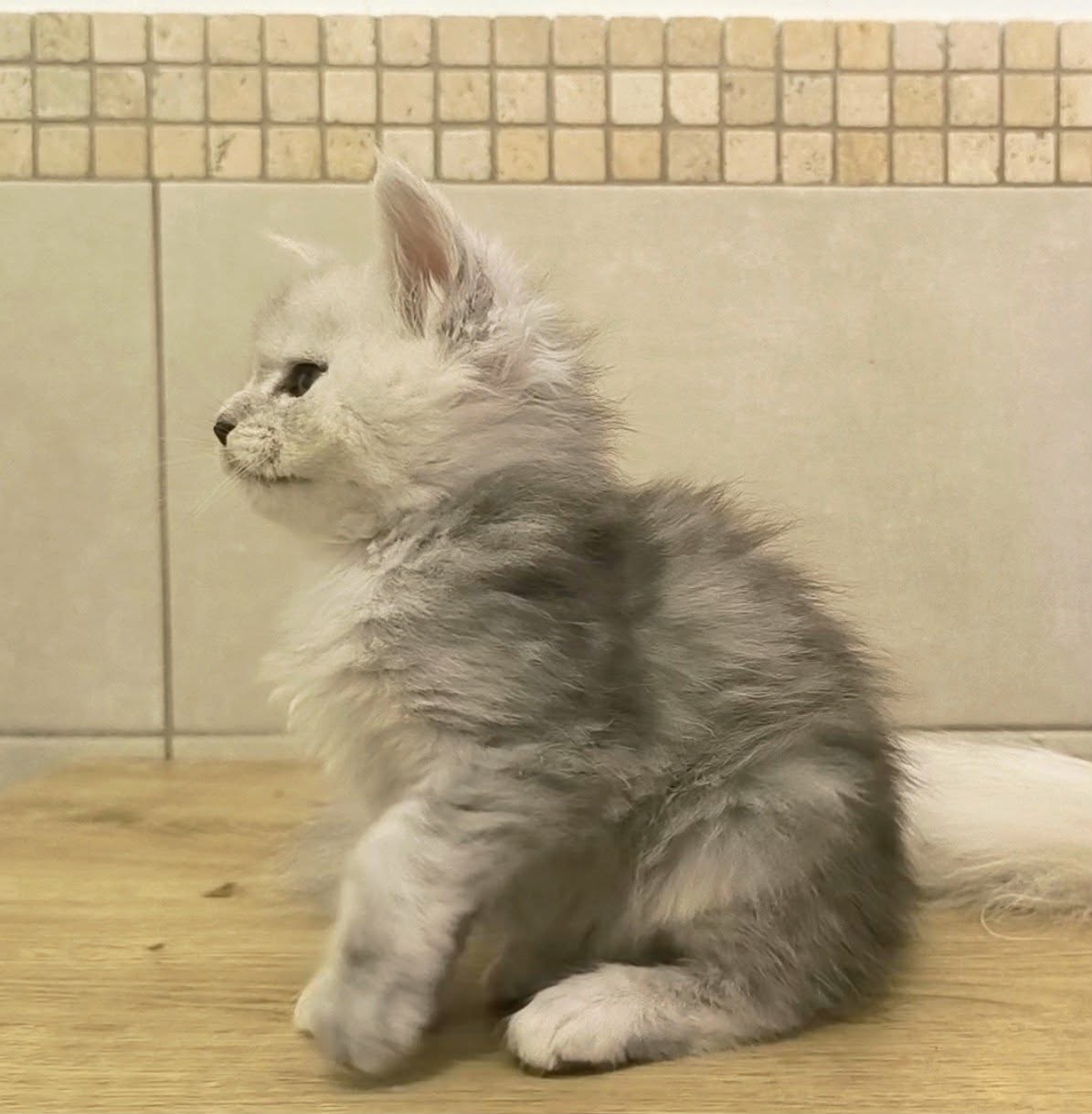 048130a6-333f-427e-bfee-590741fac42f