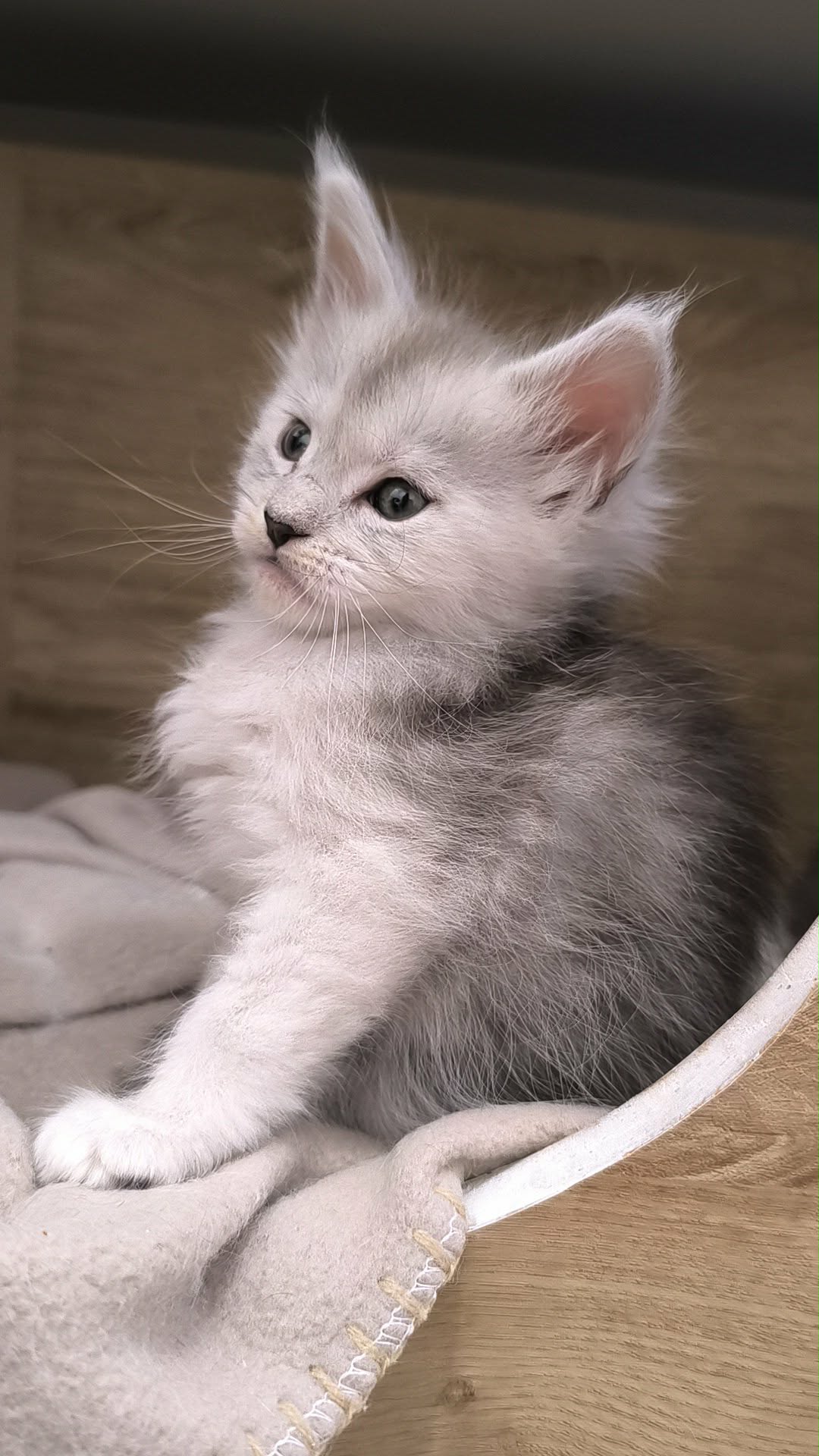 0d1aa69b-96c6-4a96-a62d-1d52425ae847