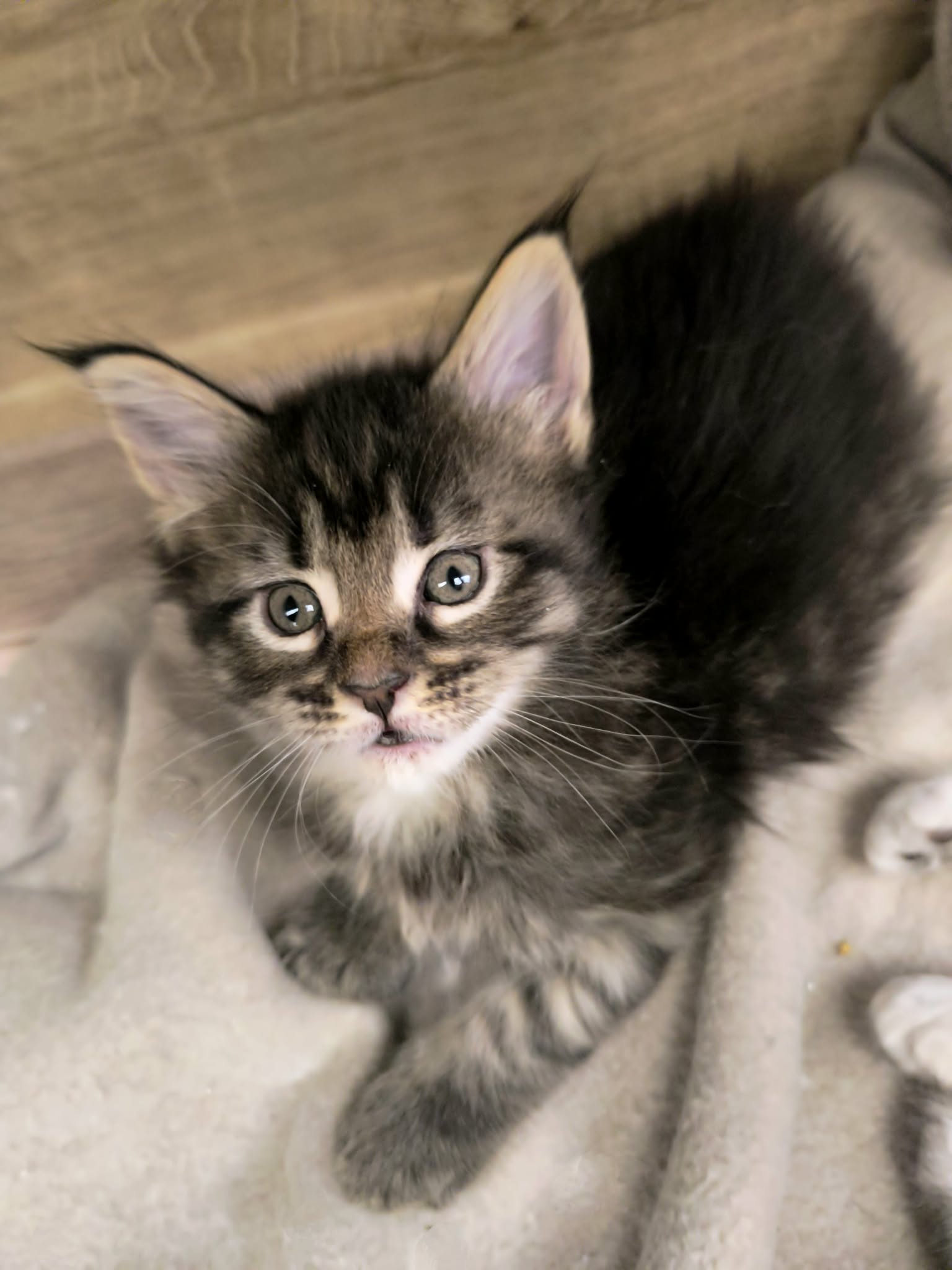 13ff4f79-92b8-4075-a2cd-34d5dcca928d