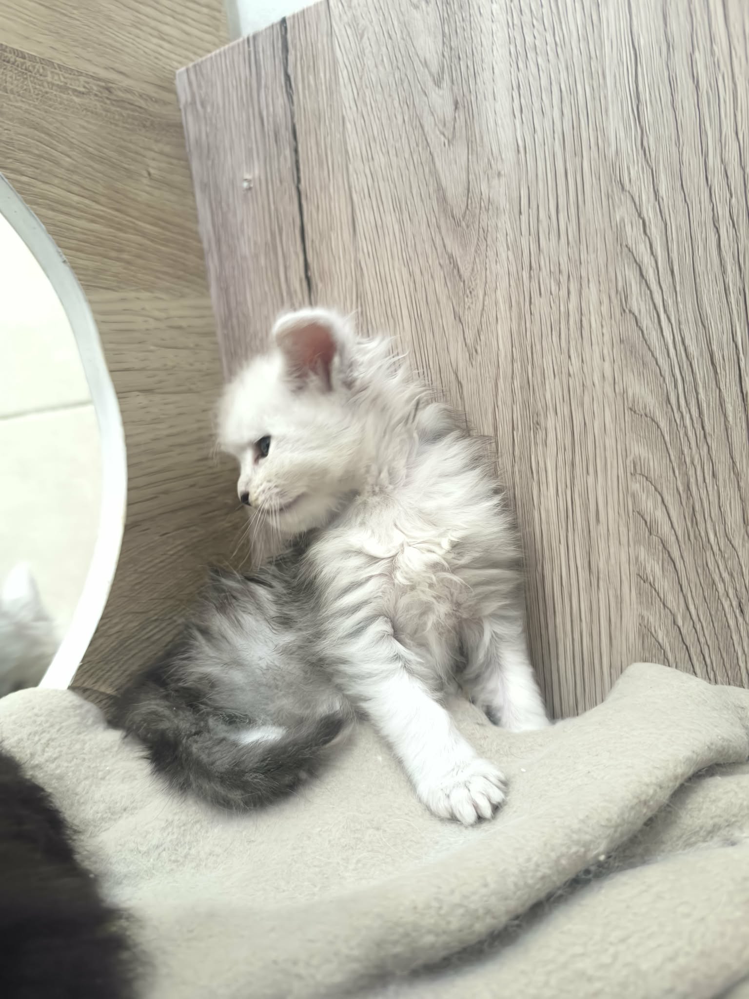 175abe8c-42ee-4cae-8267-5275385a6a26