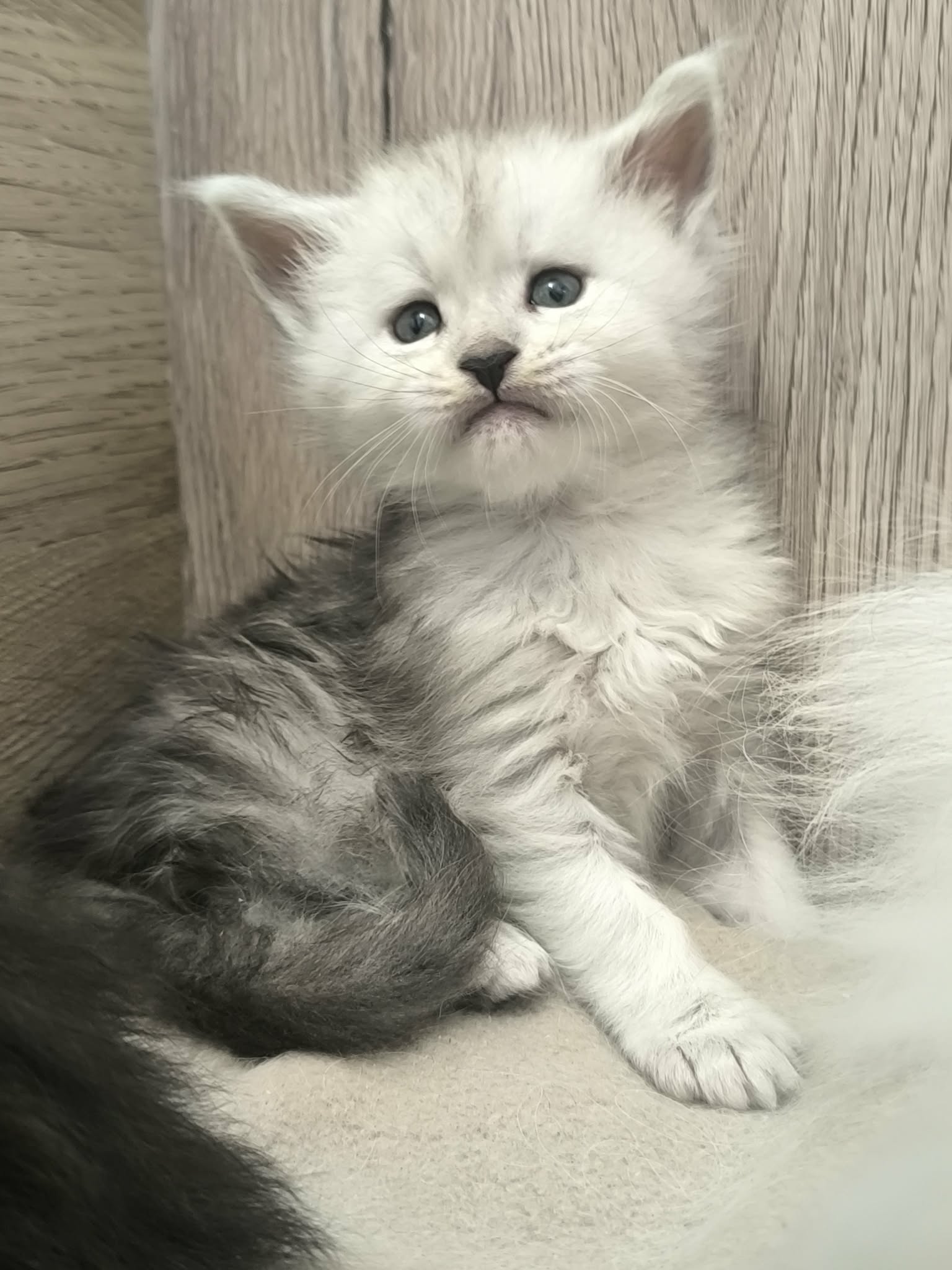 22ff37ab-5451-4f2e-983e-9f85ad0027b6