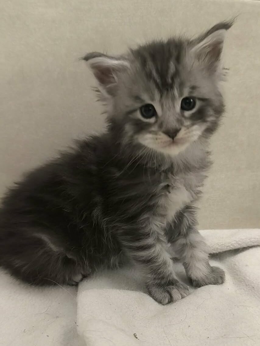 2990c5f3-95fc-42ee-866a-df53b297649a