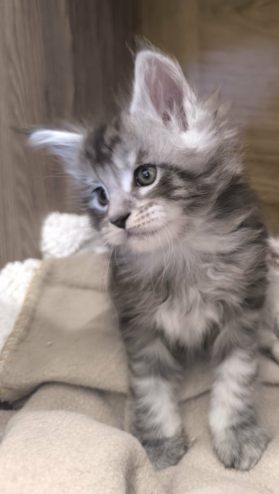 35f1a201-7b99-430b-9ba4-685b2597fe62