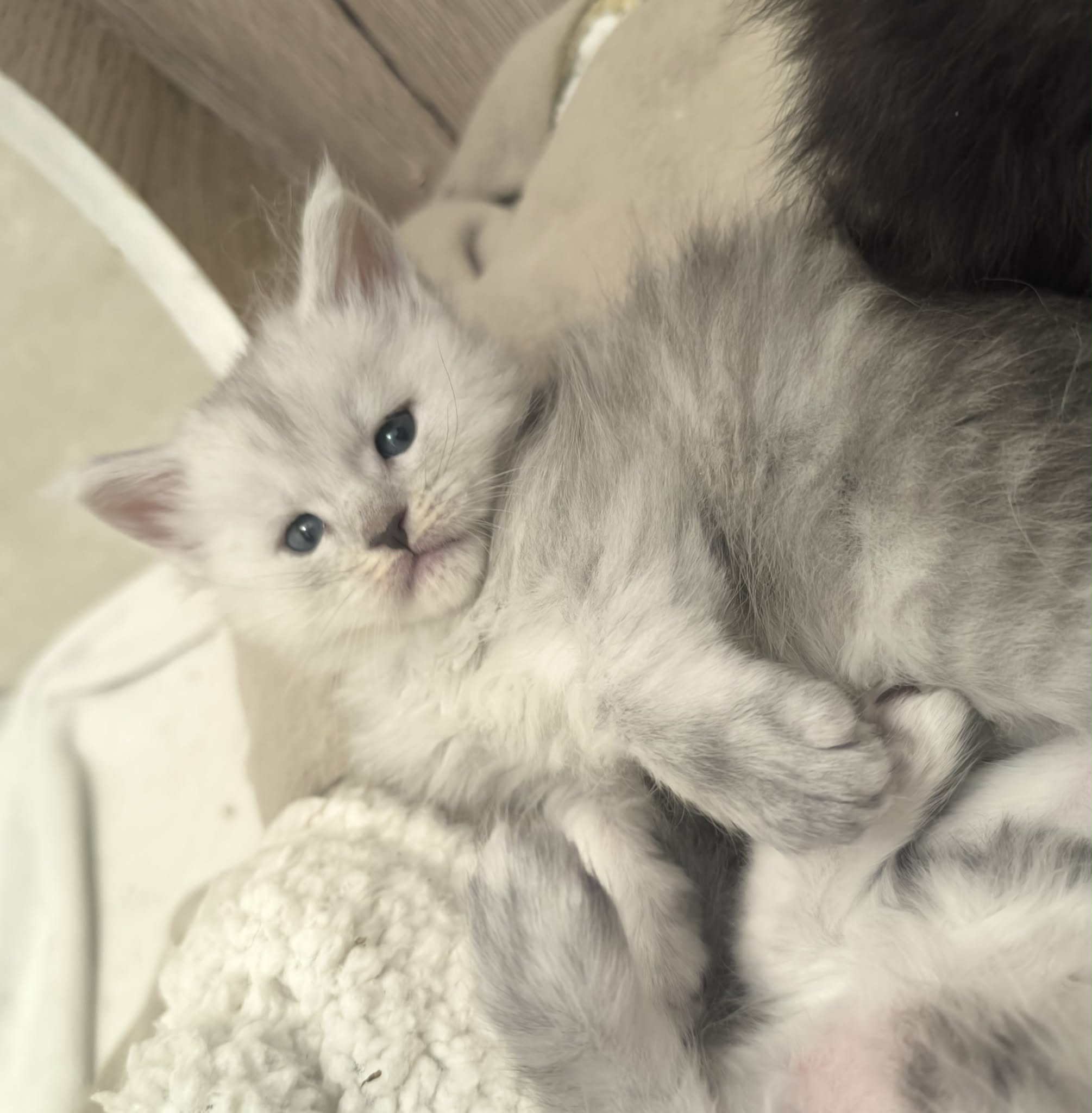 3e2a2d75-2496-475b-a240-d38e9e6fadc9