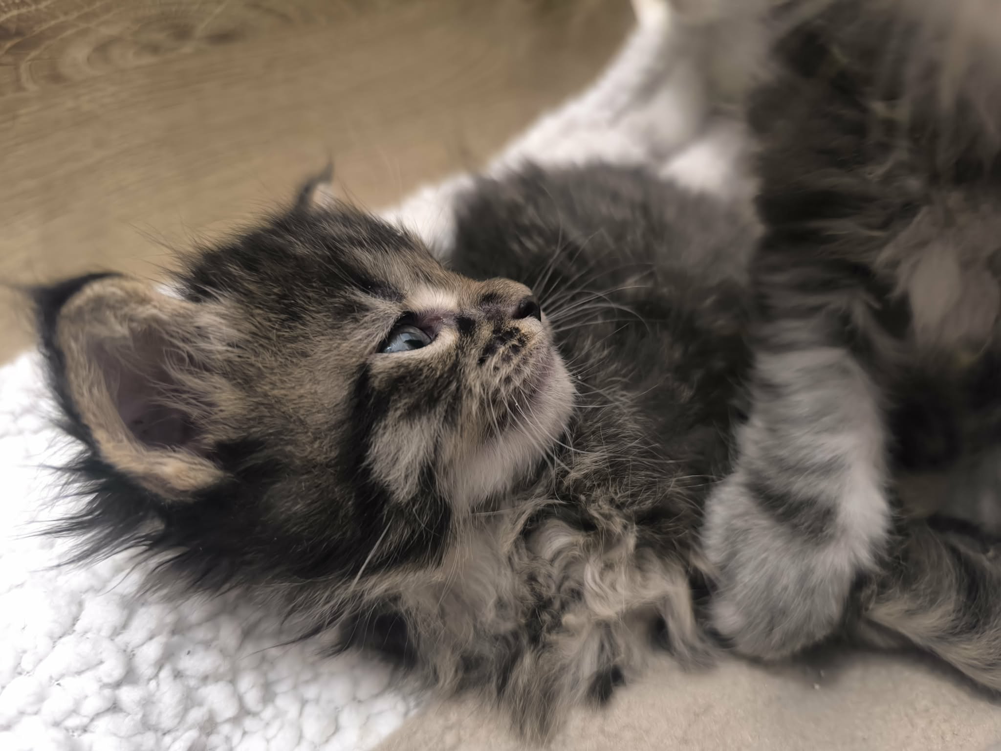 40bd196a-251c-4b95-9835-0dc2dadd865f