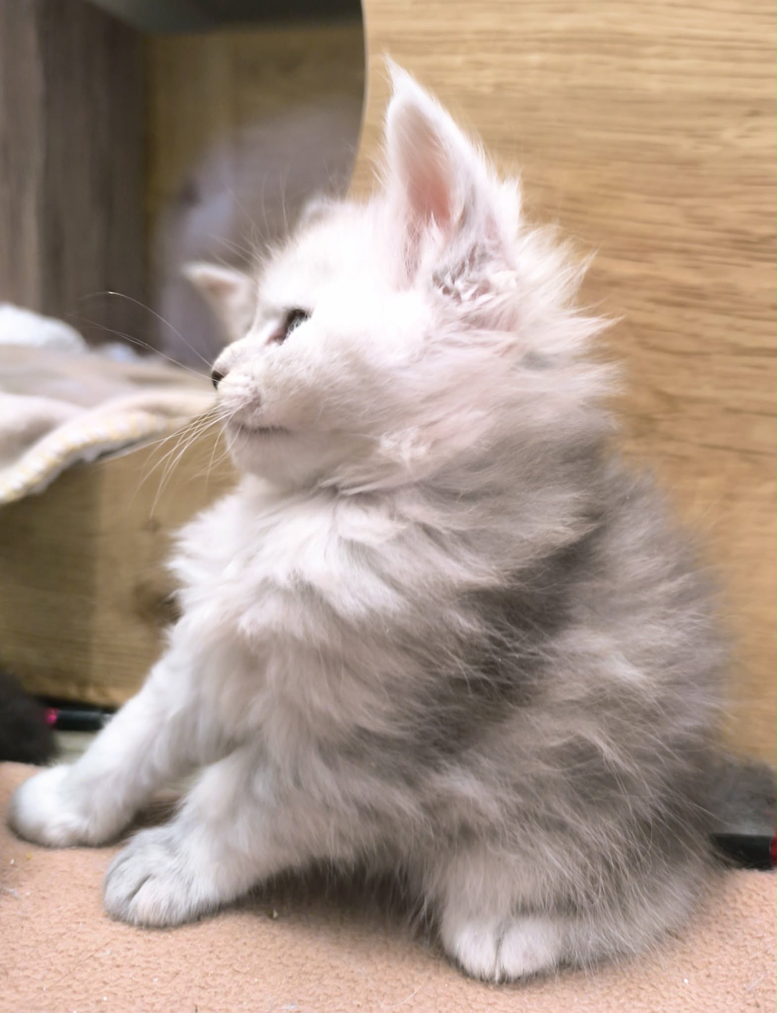 479ee318-5bc6-4ebd-b1f1-2238e61fd9e7