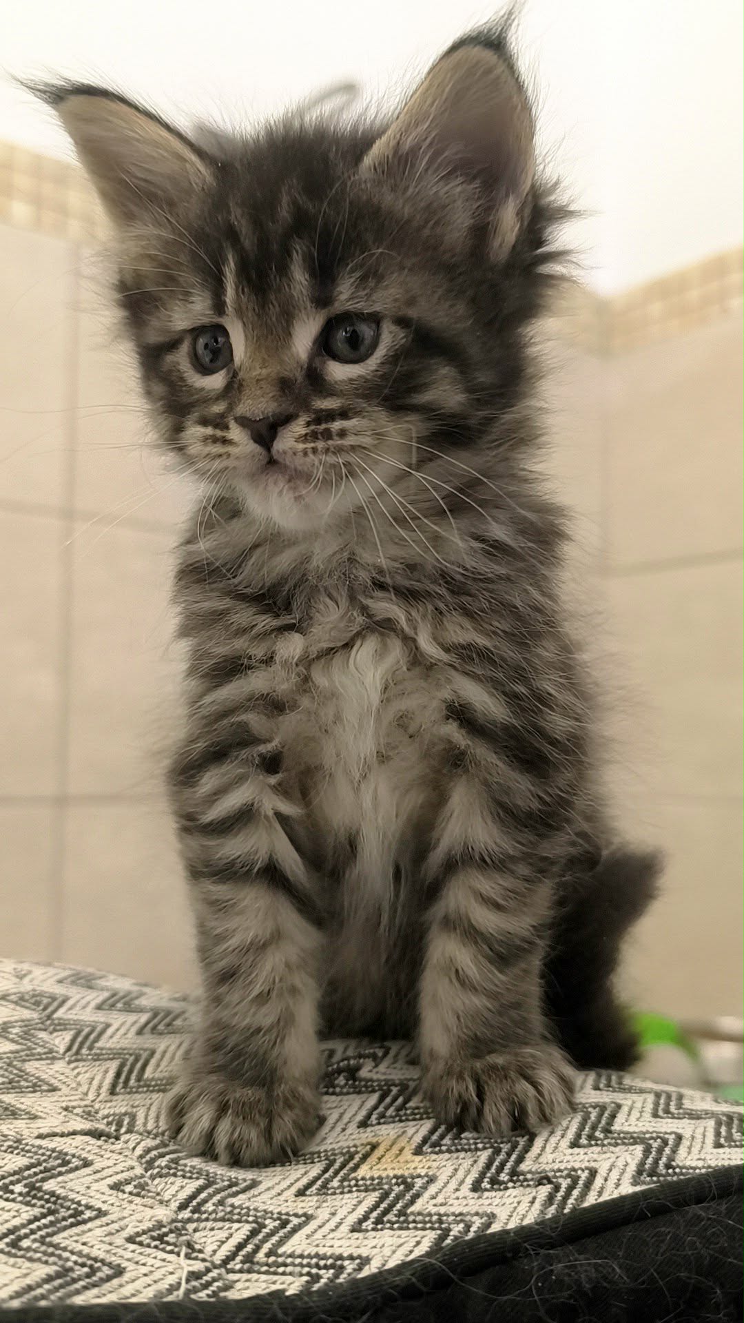 58c1b8bf-8f9d-42d6-9bf9-fc7c6f107843