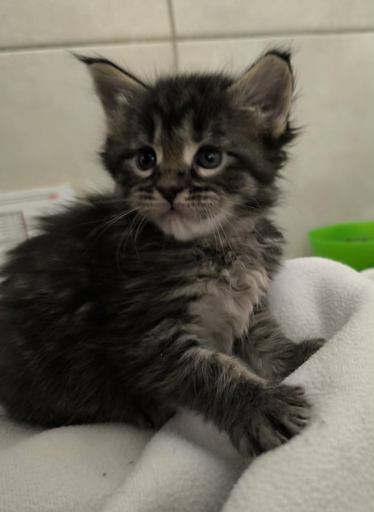 5ac1af64-f723-451d-9323-29287474a7e7