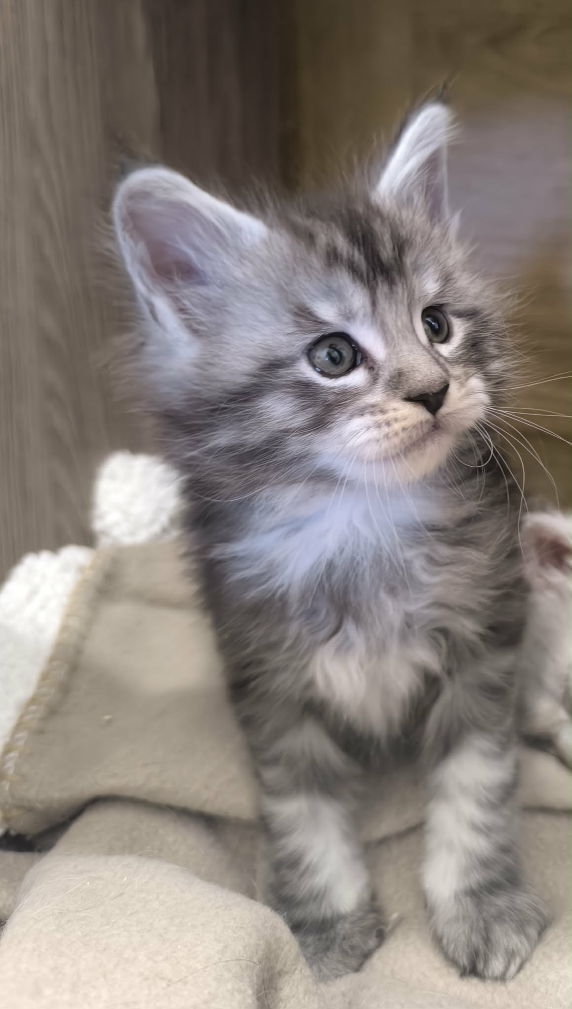 7223698a-5a6f-4b88-9a19-37f8b31a9746