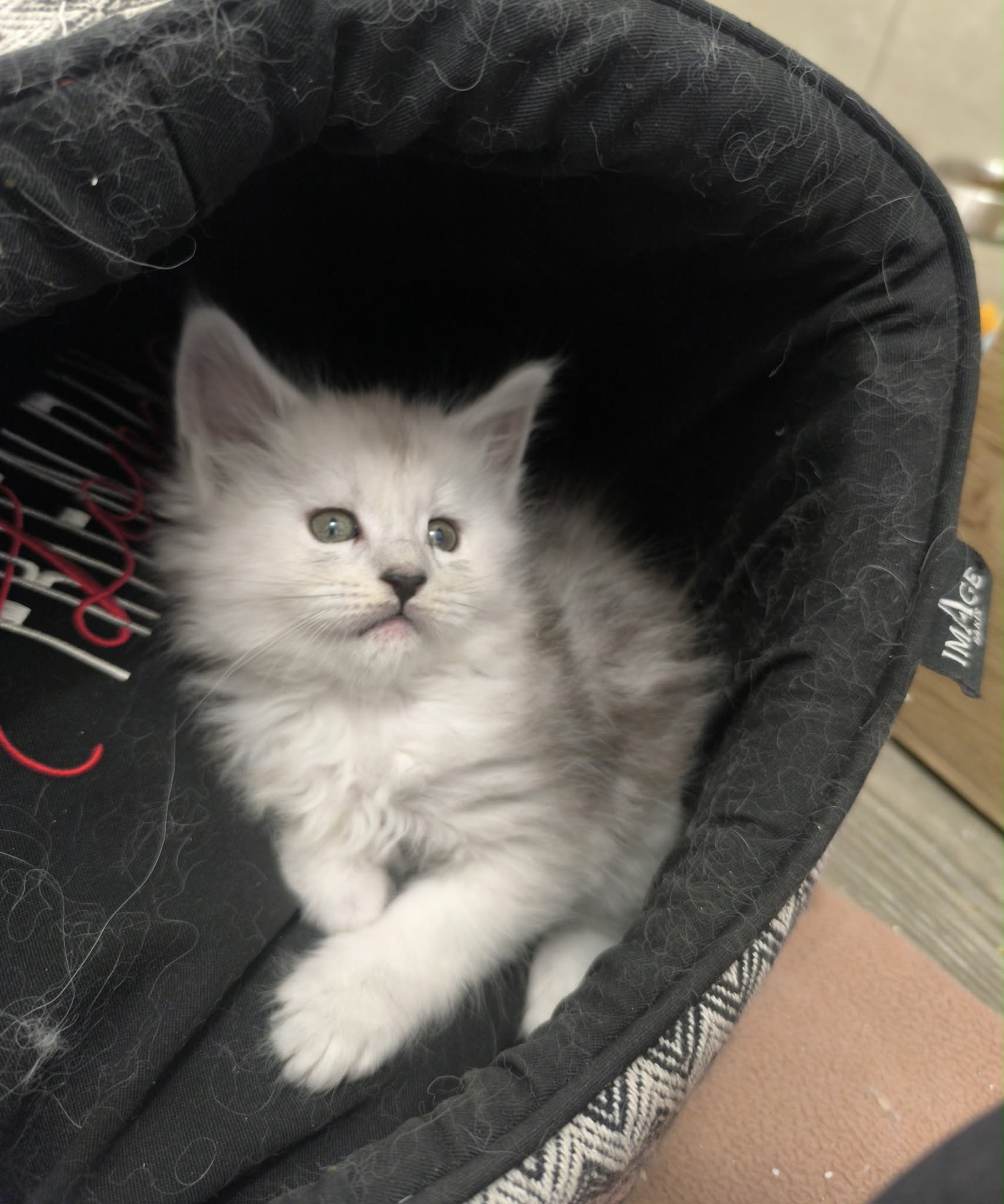 874c8847-30ea-47a1-8ffc-0968ac09d129