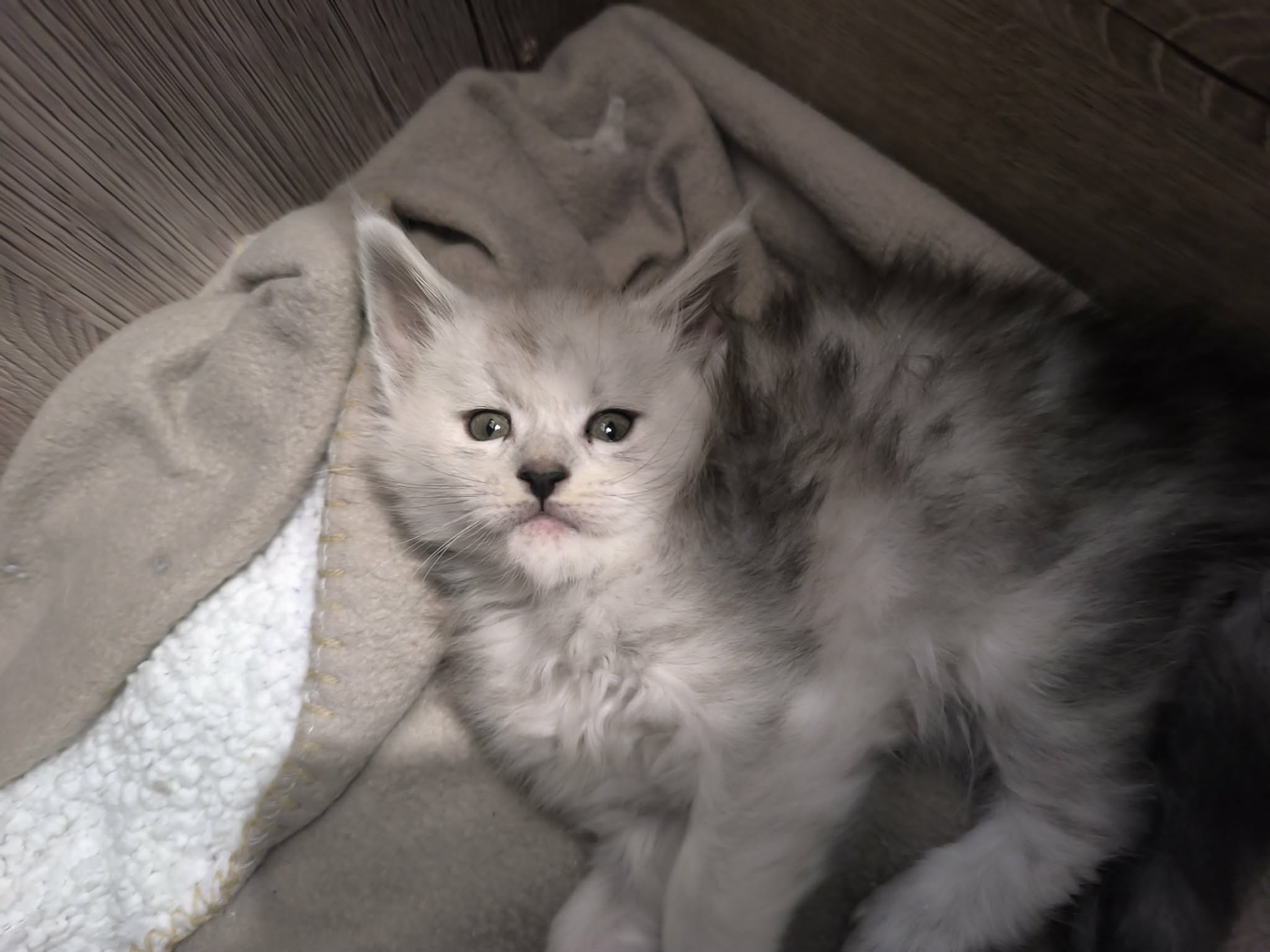 a2d1d0cf-6491-4a50-af42-affd9129df2b