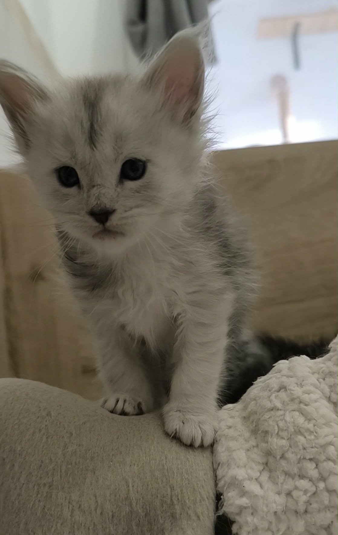 a4d2d79e-8811-400a-b1d1-19d038454aeb