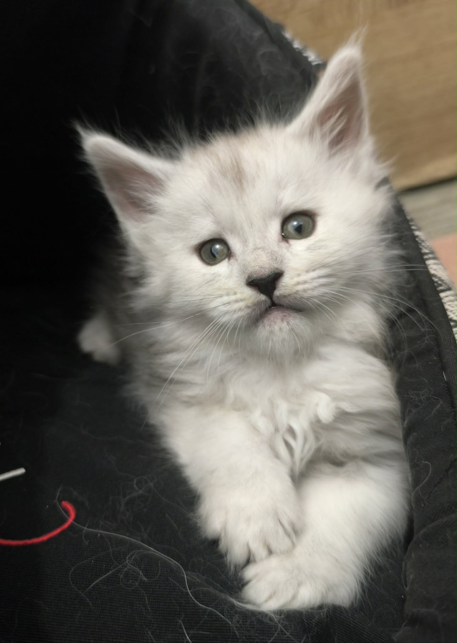 b3a63547-6871-4612-8fb1-783dec387a22