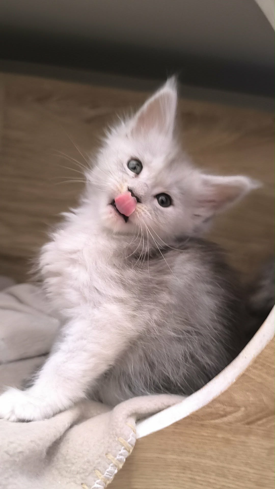 d07df3e9-8f97-46f1-a5dd-d3f61d356806