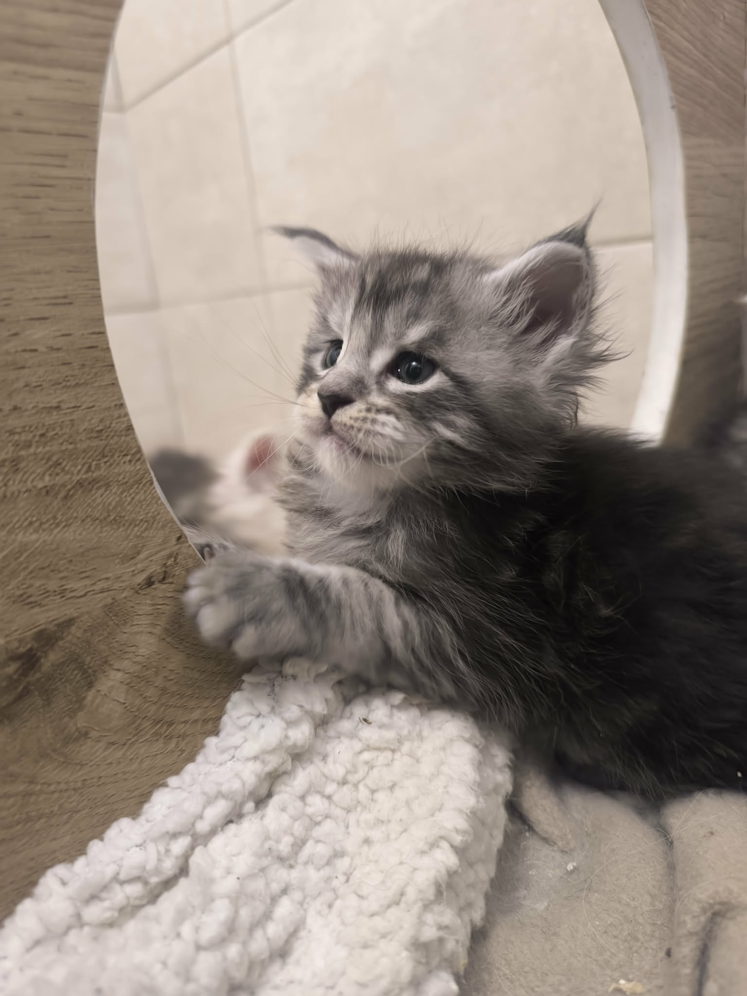 d9f4babf-ad24-4a8c-8605-70ea4bdba744