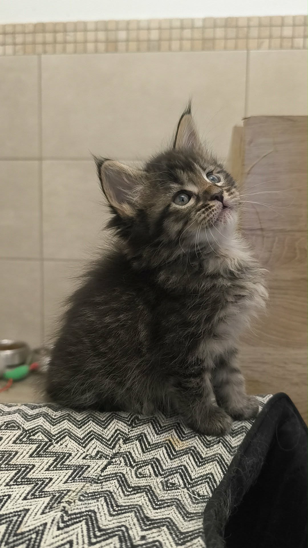 ebc8efb4-be87-4abf-8d4c-5aeabc997a8e