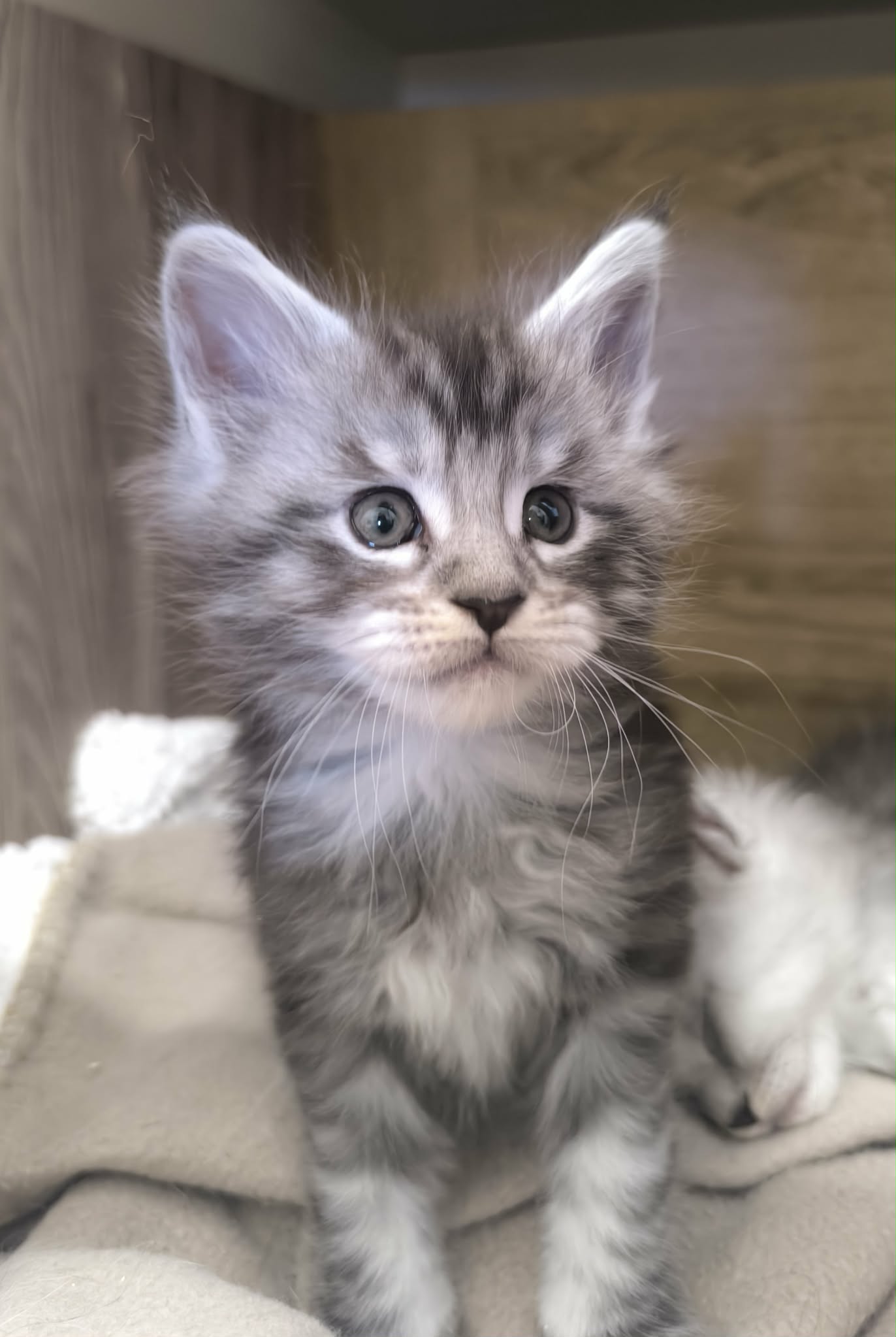 f36f55a6-35a4-475a-9a2e-af49e1f95a35