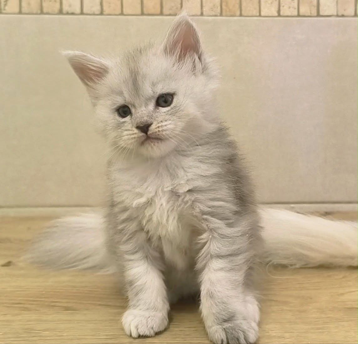 f681868d-499e-45c0-95a8-21cc305b084c