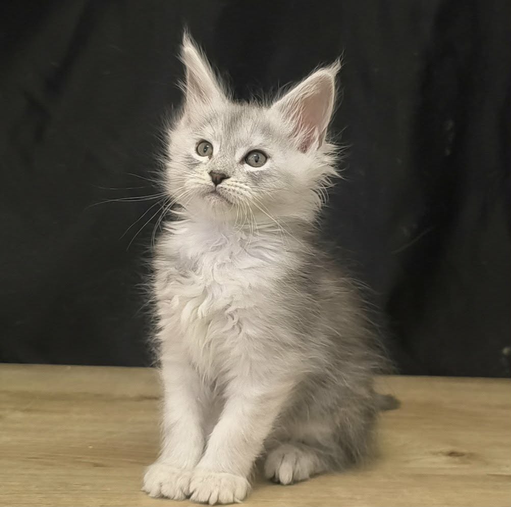 20521fe6-f0fa-42f9-895f-a2c71105d04c