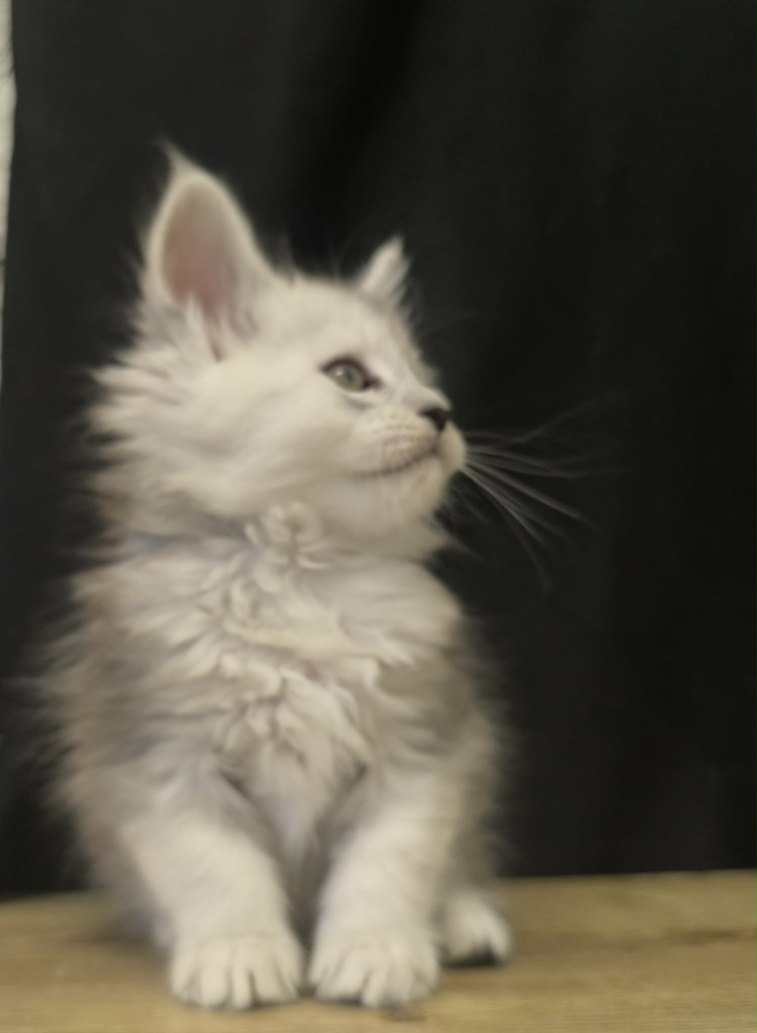 28b91b4c-7672-4e9c-adcb-8d36d4f70b1c