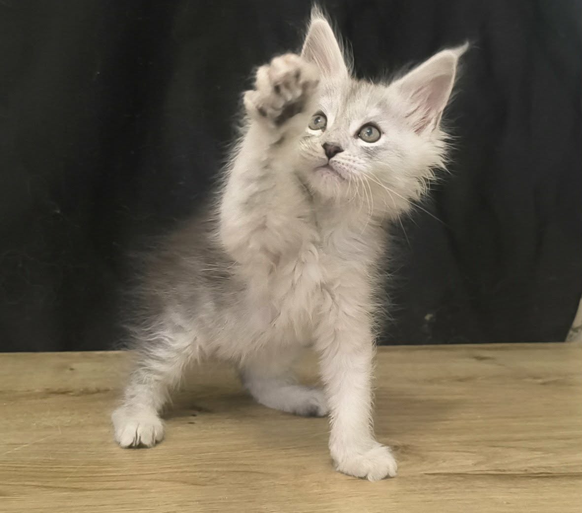 7cafa6da-3288-4e16-b1fc-3cf47a9dc428