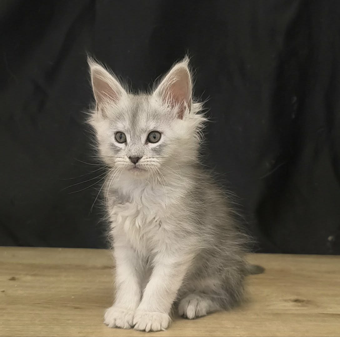 be7fc436-42e3-48b4-9286-d9dba6de9ade