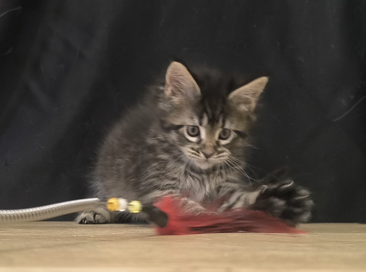 c98f0505-717e-41e5-8b2e-b746e4f9770f