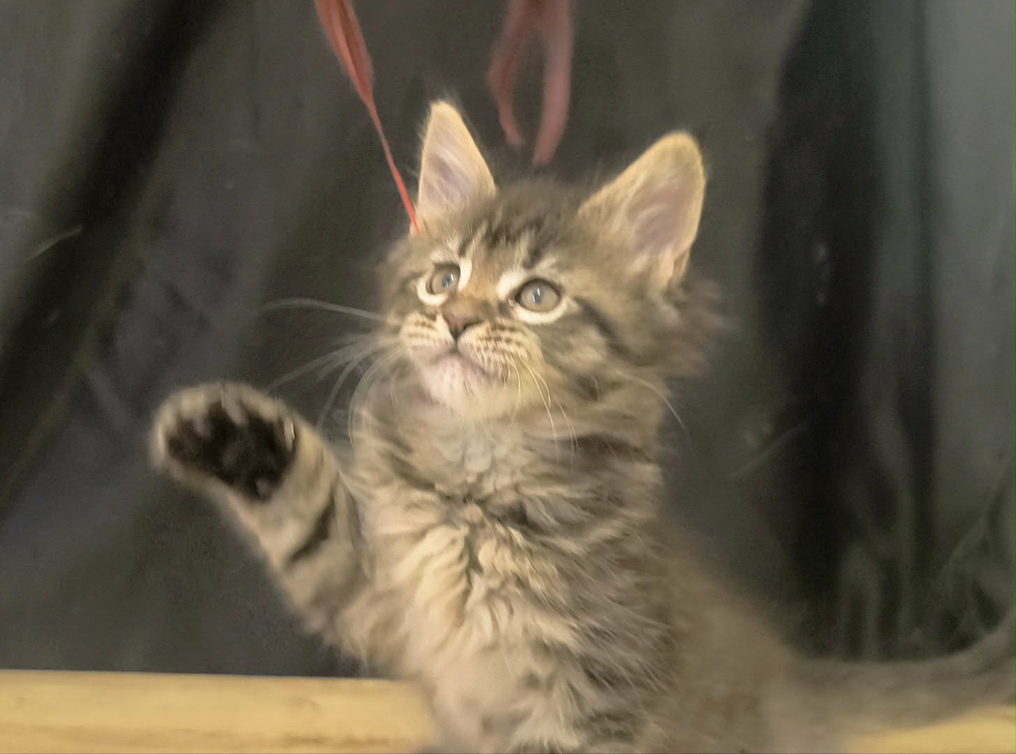 c9ca580f-1b6f-4301-9e55-c18b87238737