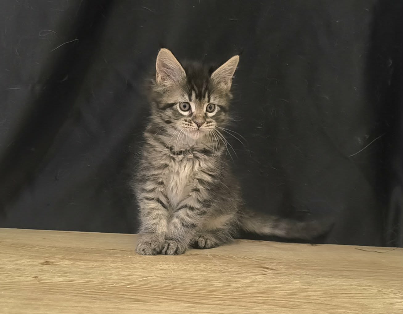 d68bf97d-9887-4b0a-8ecf-c378bba00bcd