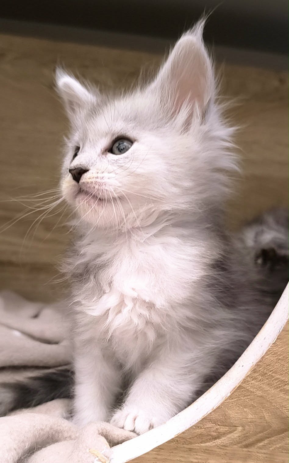 fcb1cabf-340b-4193-abf8-098c6a7f462a